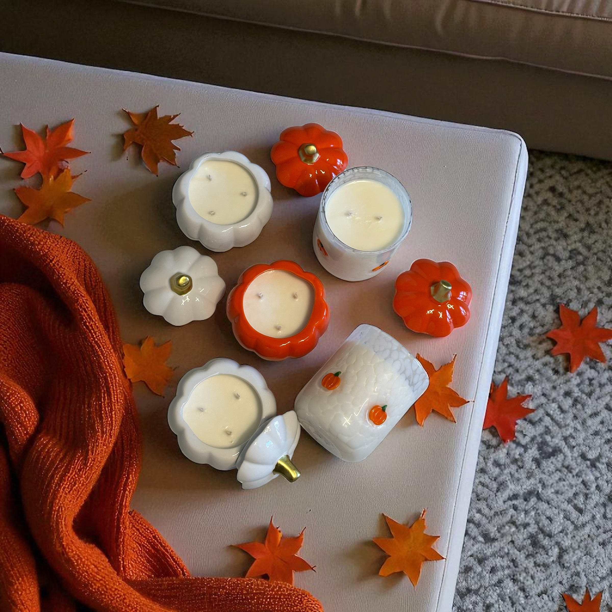 LIMITED EDITION & HOLIDAY COLLECTION